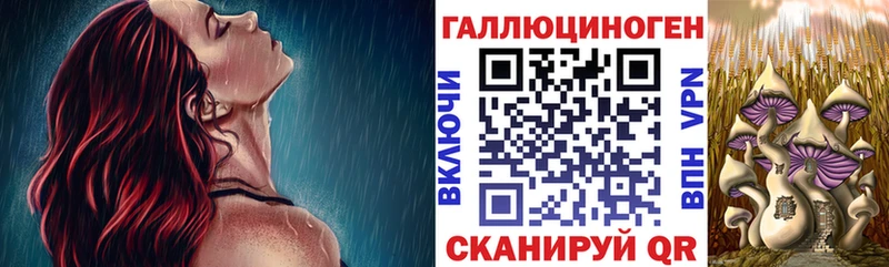 цены   Донской  Галлюциногенные грибы мицелий 