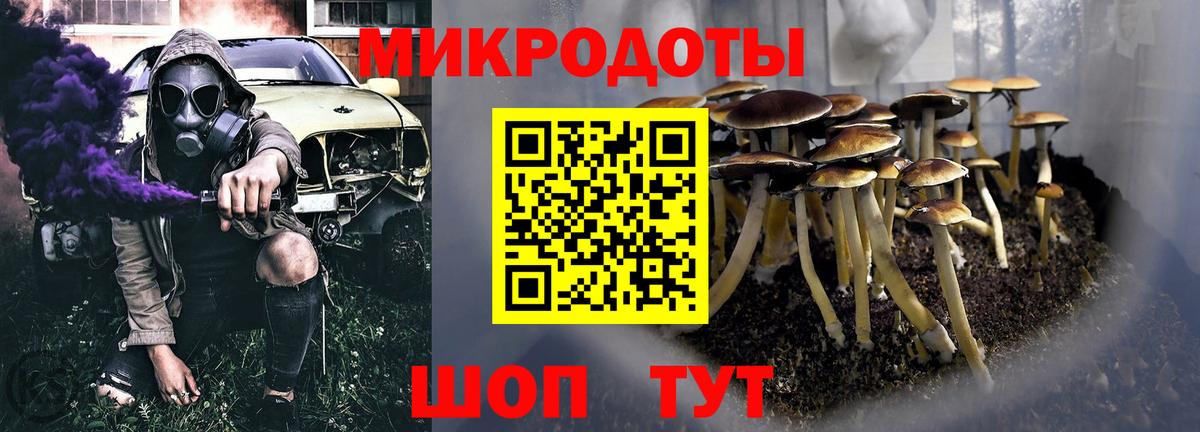 Галлюциногенные грибы мицелий Донской